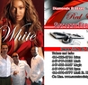 Red and White Affair